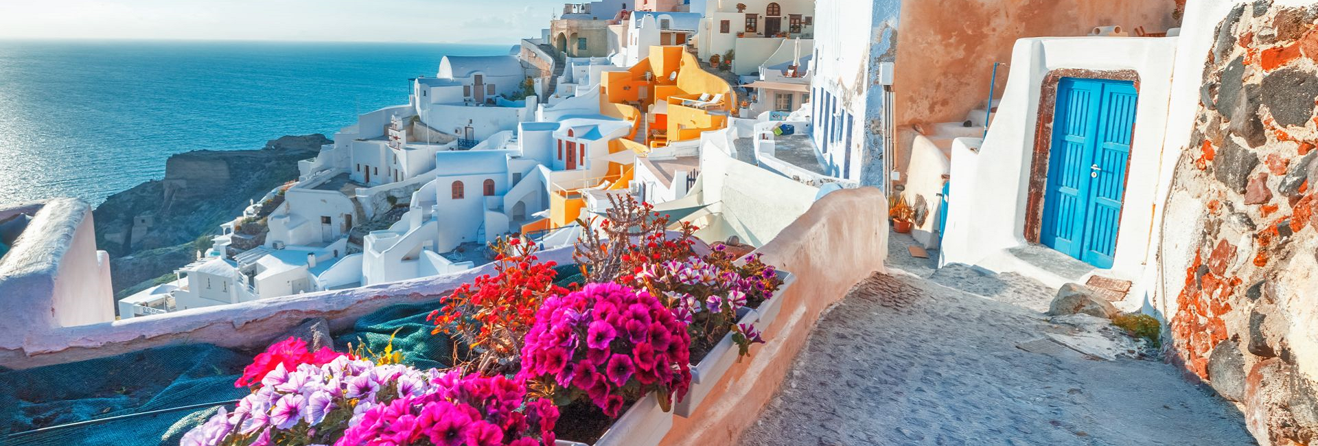 Memoirs of a Wanderer, Navigating Life’s Pathways