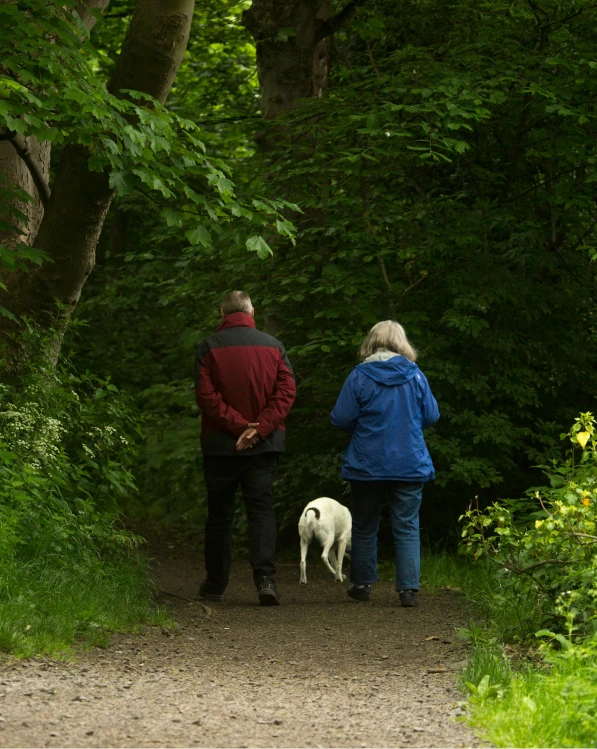 Retirement Planning: Securing Your Golden Years