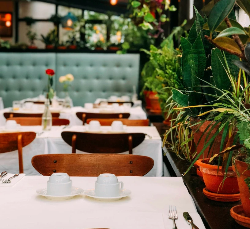 Gastronomic Journeys: Savoring the Flavorful World