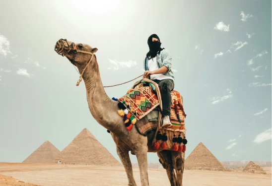 Unlocking Success: Navigating the World of Business